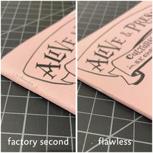 Load image into Gallery viewer, Alive & Present: Cultural Belonging in S.F. Chinatown and Manilatown / 生機與當下